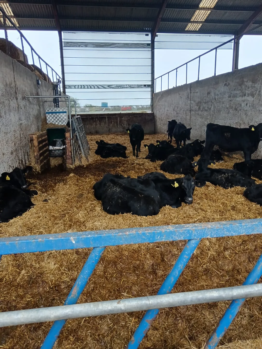 Agriculture 3